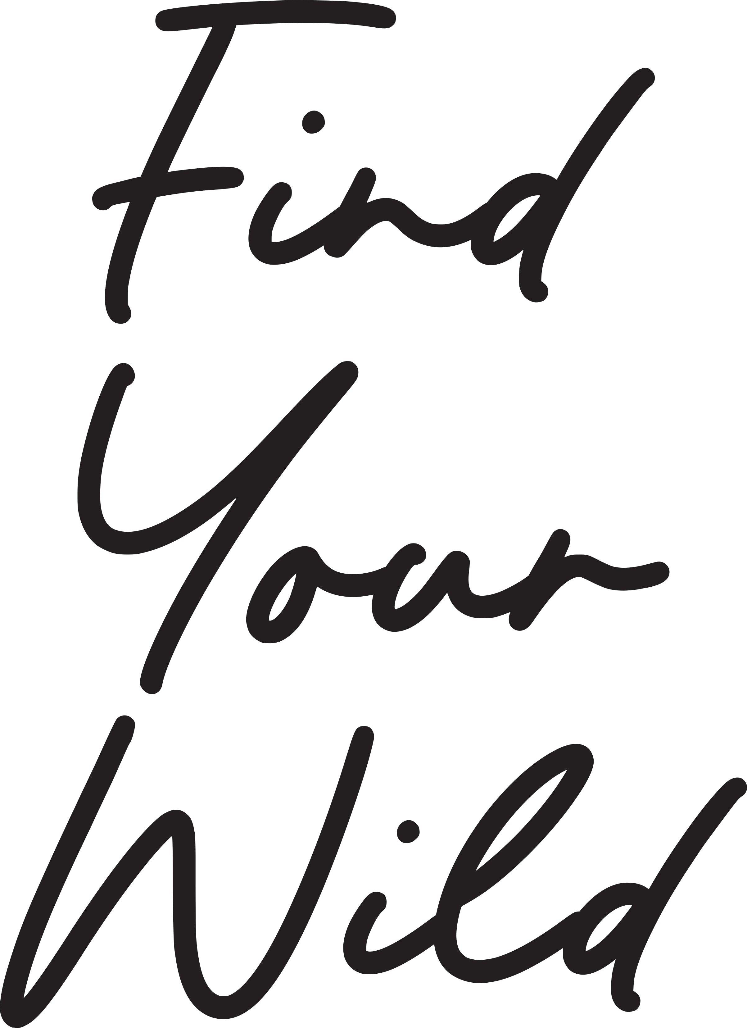 Find Your Wild